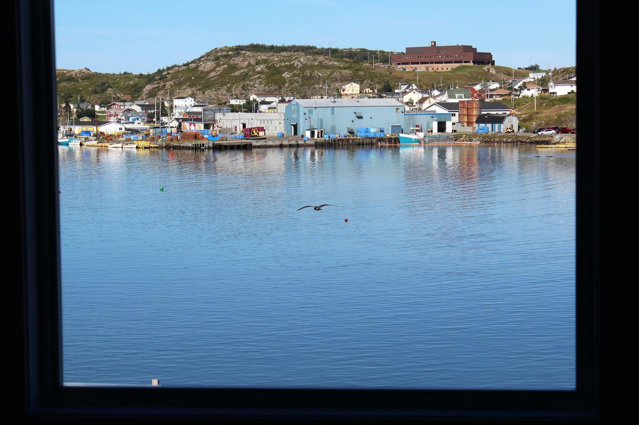 Twillingate & Beyond Inc.酒店 外观 照片