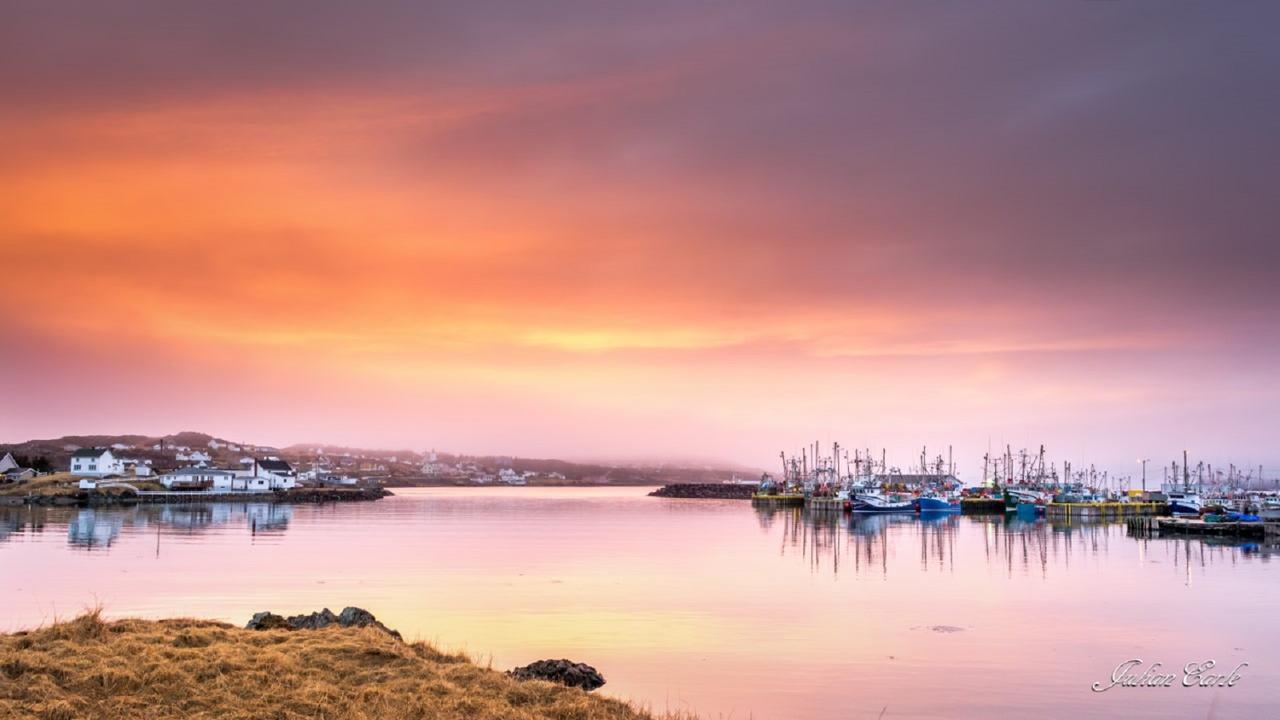 Twillingate & Beyond Inc.酒店 外观 照片